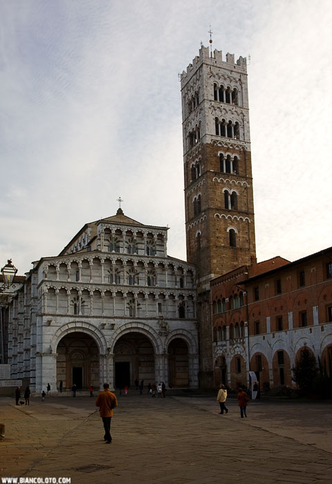 Лукка, Кафедральный собор Сан-Мартино