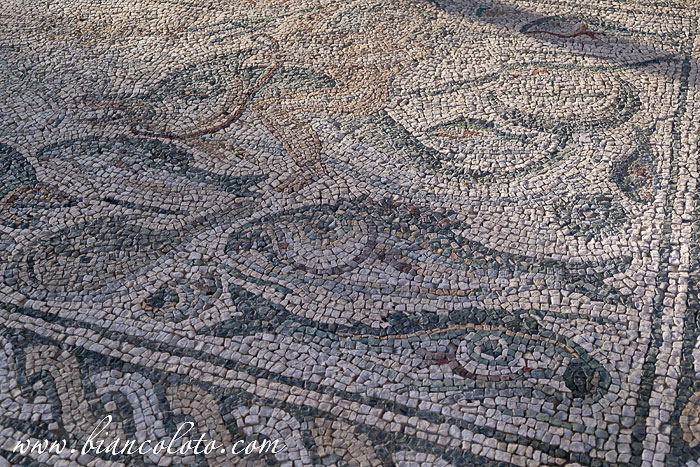 Мозаики Луни