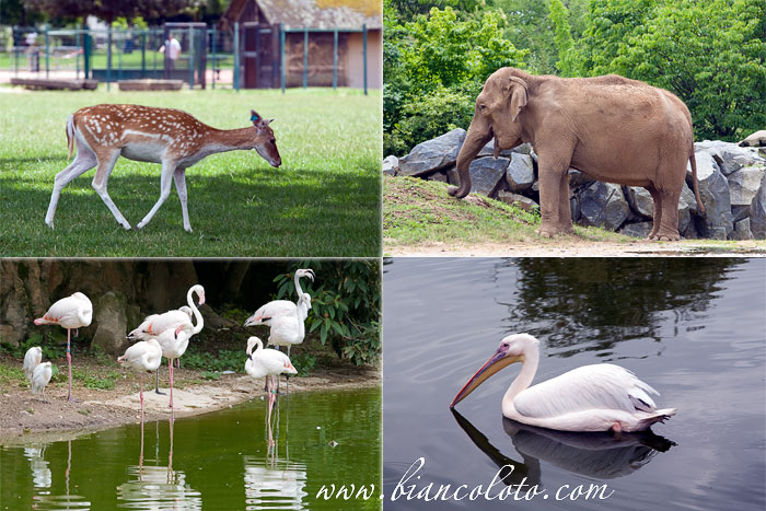 Парк de la Tete d'Or. 