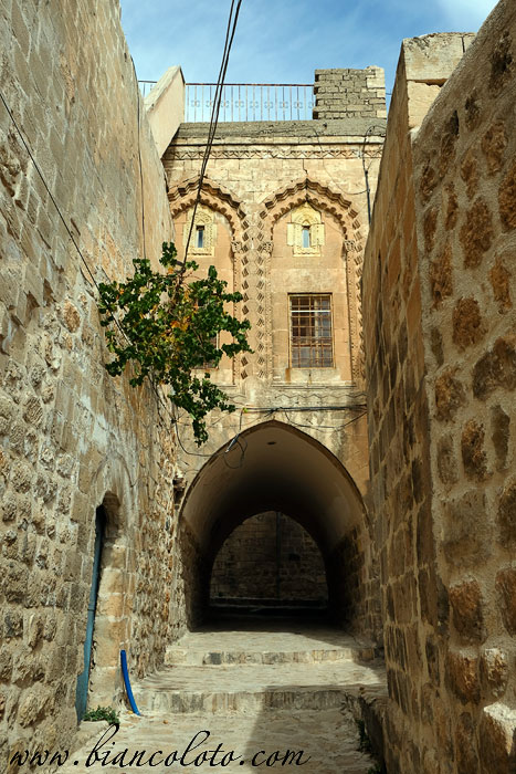 Аббарас. Мардин