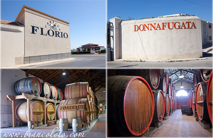 Винодельни Марсалы