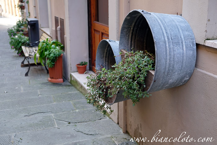 Масса Мариттима (Massa Marittima)