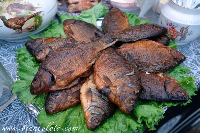 Медовуха Fest 2018  в Суздале