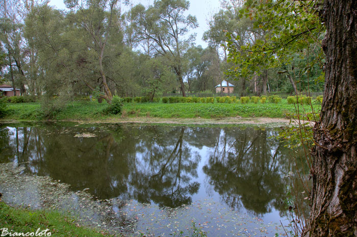 Музей-усадьба А.П.Чехова