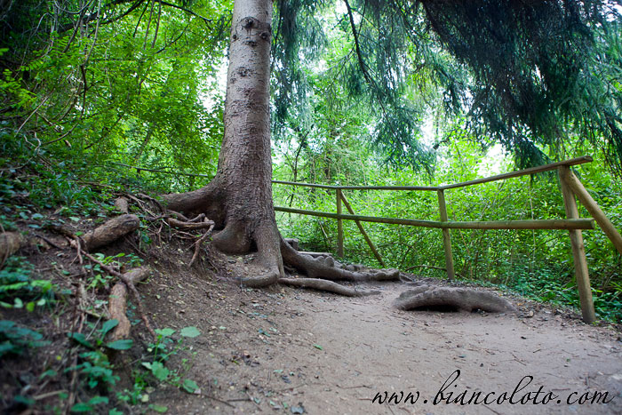 Природный парк Молина 