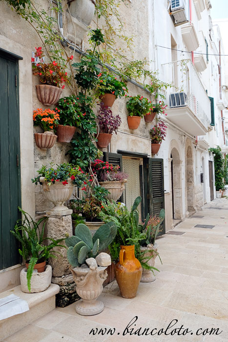 Монополи (Monopoli)