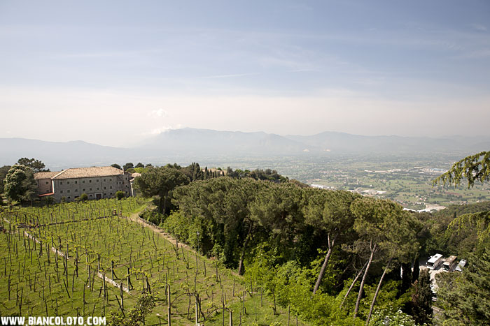 Монтекассино