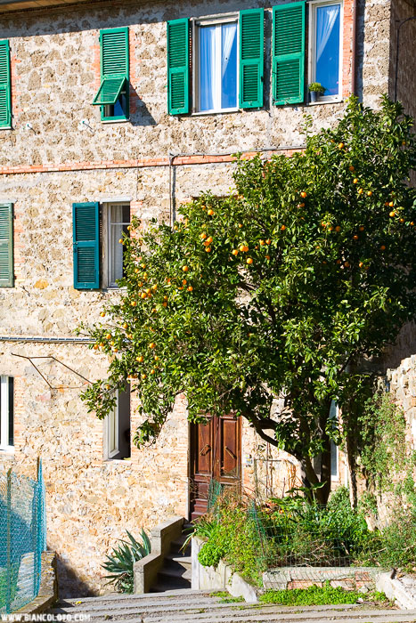 Монтемерано