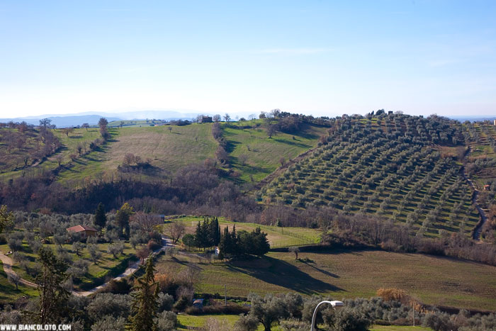 Монтемерано