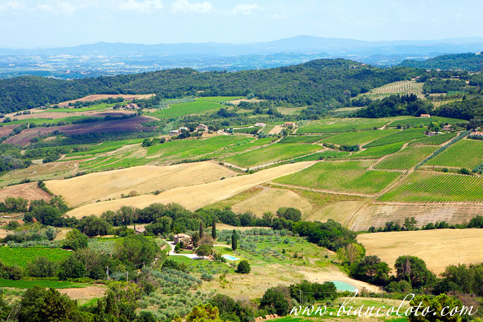 Вид на виноградники Монтепульчано. Тоскана. Италия