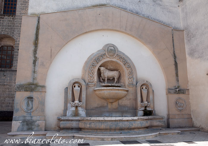 Фонтан буйвола. Нардо