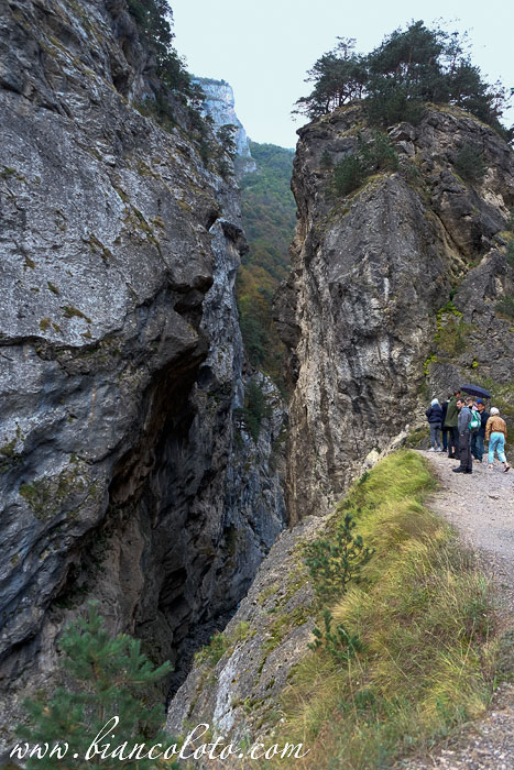 Кадаргаванский каньон 