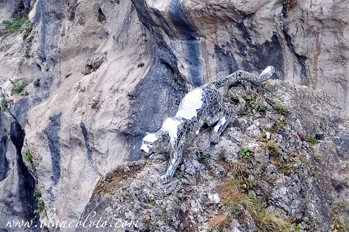 Зеркальный барс