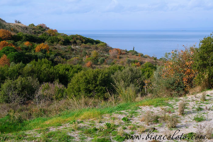Античный город Парион
