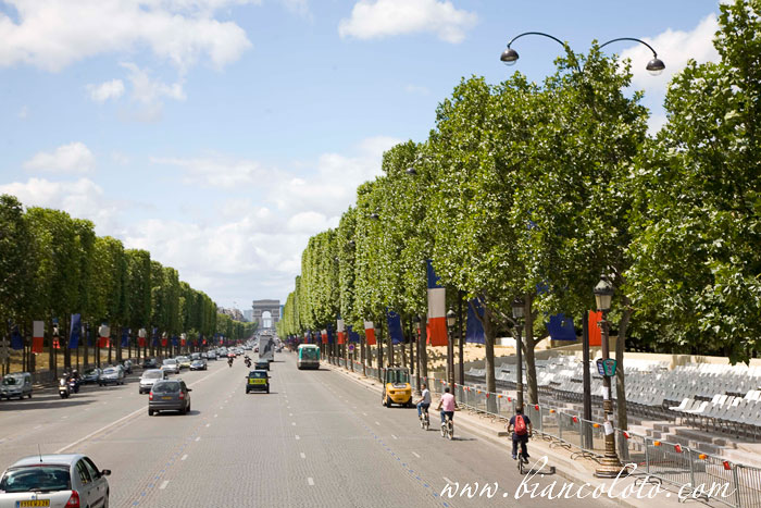 Елисейские поля