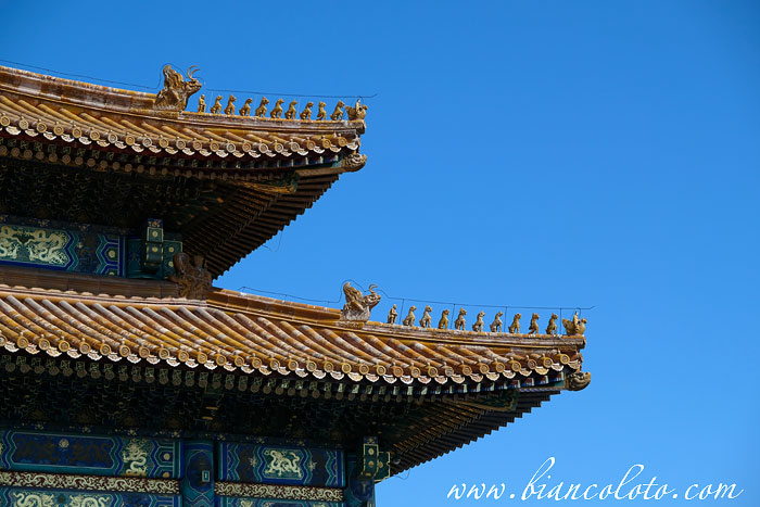 Маленькие животные на крышах. Запретный город