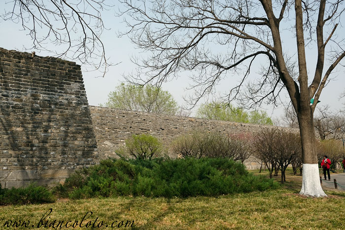 Пекинский парк руин городской стены династии Мин