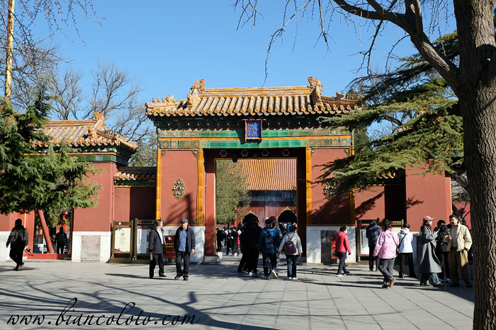 Буддийский храм Ламы. Пекин. Китай