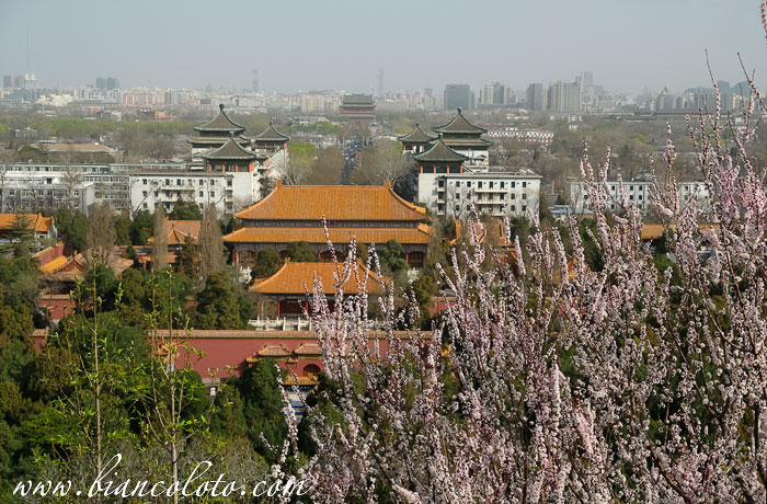 Пекин. Китай