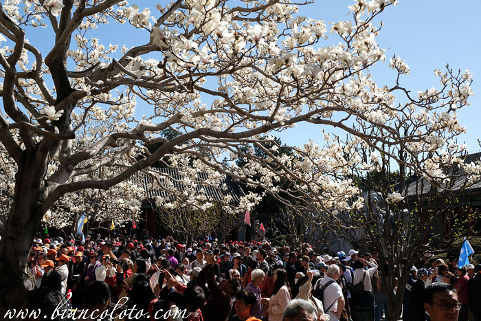Огромное количество народа в Пекине