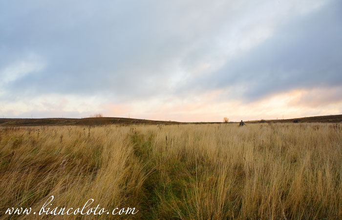 Плещеево озеро