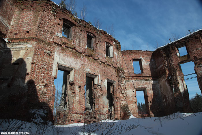 Усадьба Петровская (Княжищево)