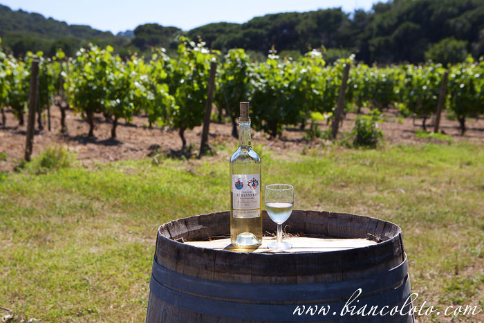 Остров Поркероль