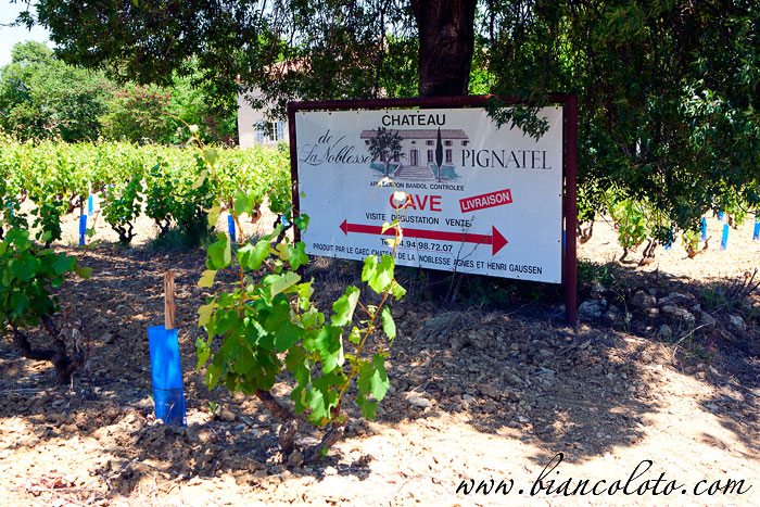 Chateau de la Noblesse