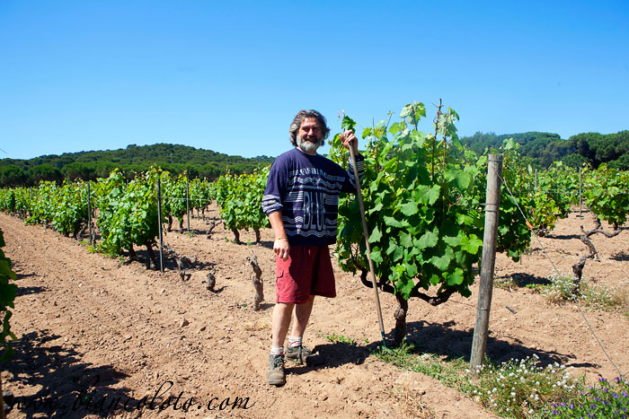 Алексей Перзинский