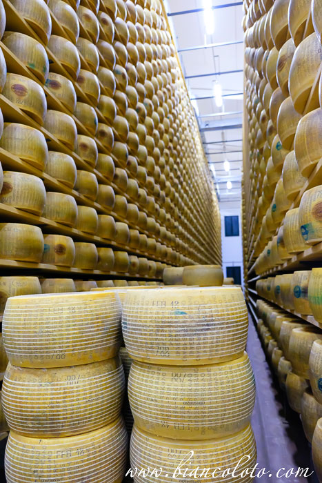 Пармиджано реджано. Latteria Agricoltori Roncocesi 