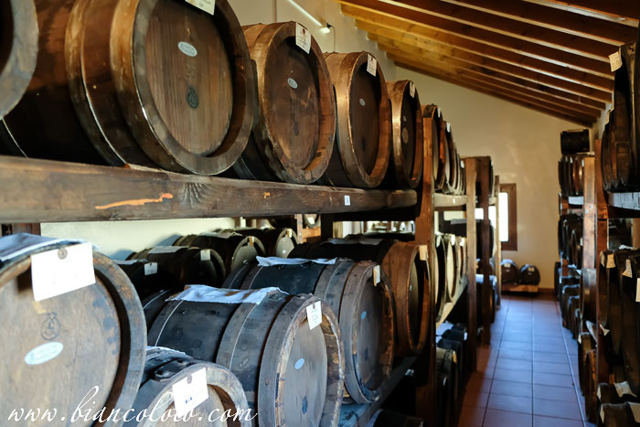 Ачетайя. Medici Ermete 