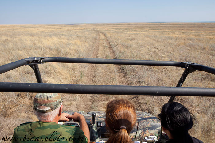 Поездка к диким лошадям