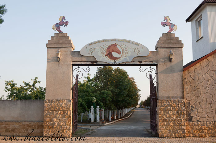 Великокняжеский конный завод