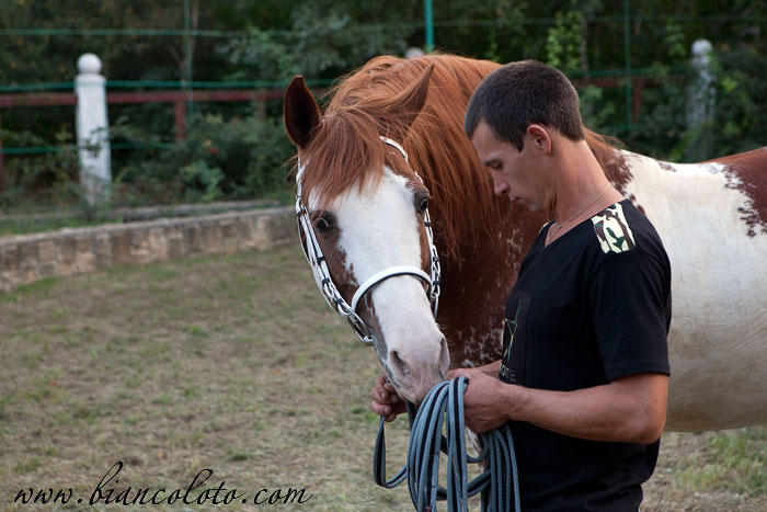Великокняжеский конный завод