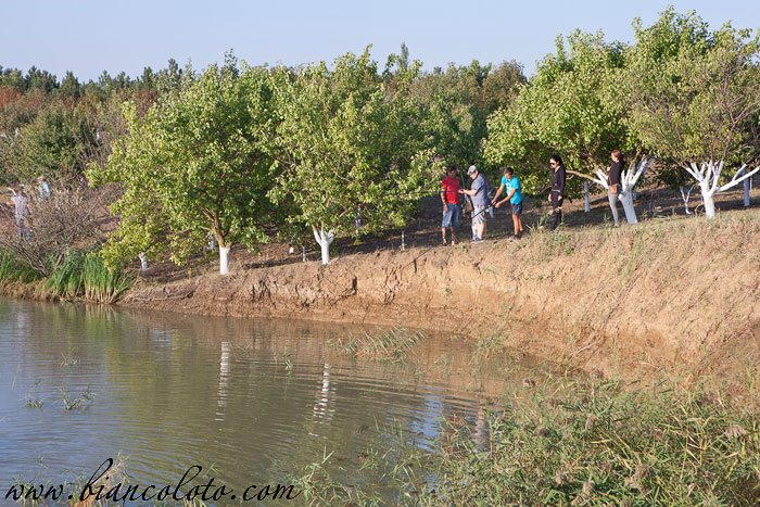 Рыбалка. Великокняжеский конный завод