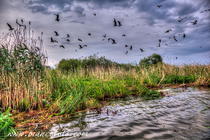 Ростов Великий