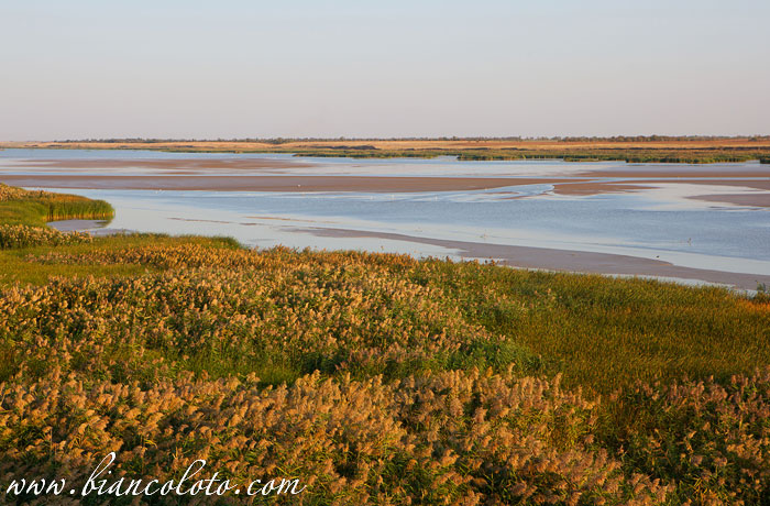 Великокняжеский конный завод.