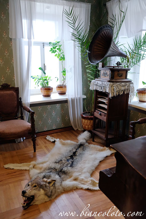 Дом помещицы Лидии Кашиной в Константиново