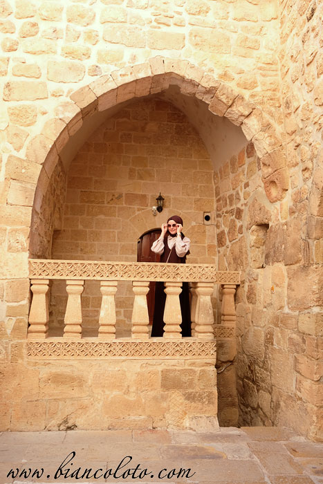 Вход в подземелье. Шафрановый монастырь (Дейрулзафаран) 