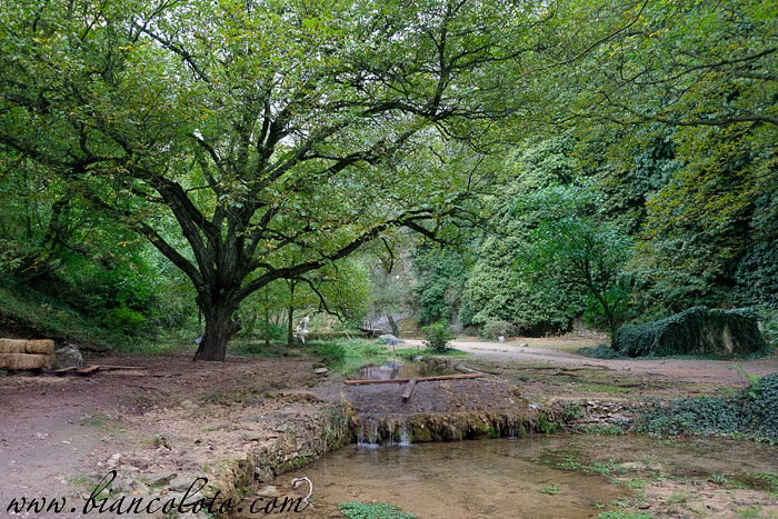 Каньон Токатлы. Сафранболу