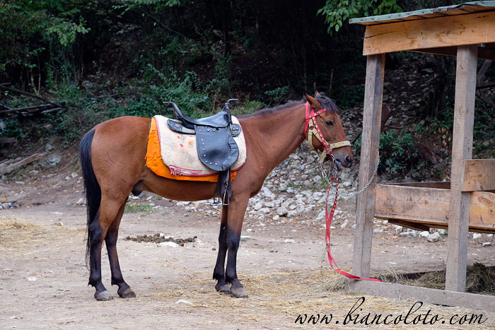 Каньон Токатлы. Сафранболу