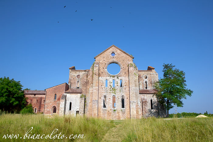 Аббатство Сан Гальгано. Тоскана. Италия