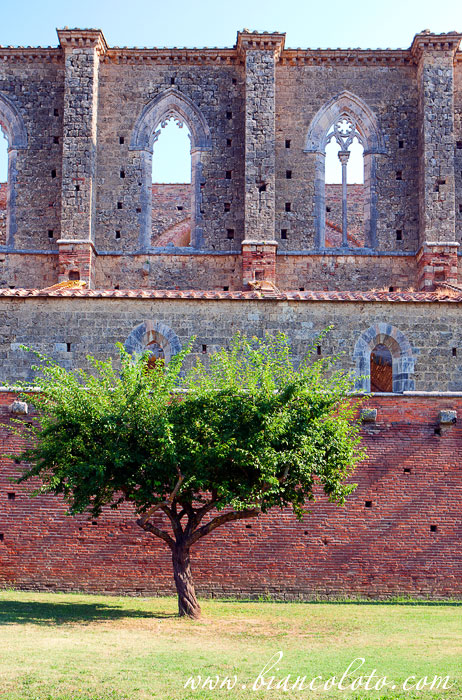 Аббатство Сан Гальгано. Тоскана. Италия