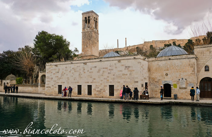 Мечеть Халил ур-Рахман