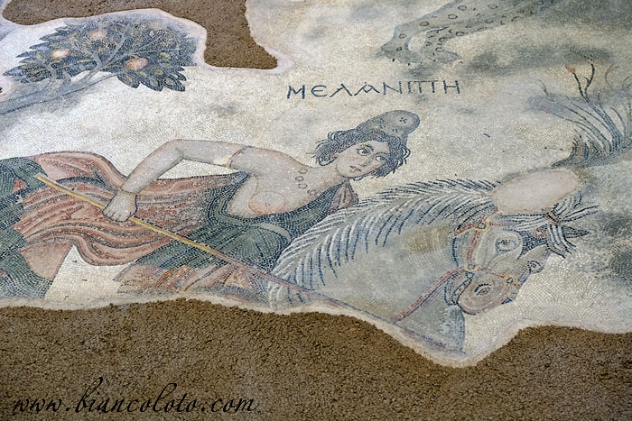 Музей мозаики Халеплибахче