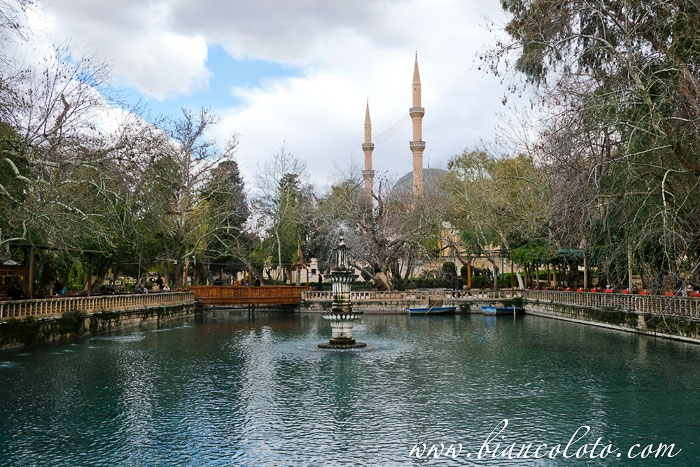 Озеро Зелихи