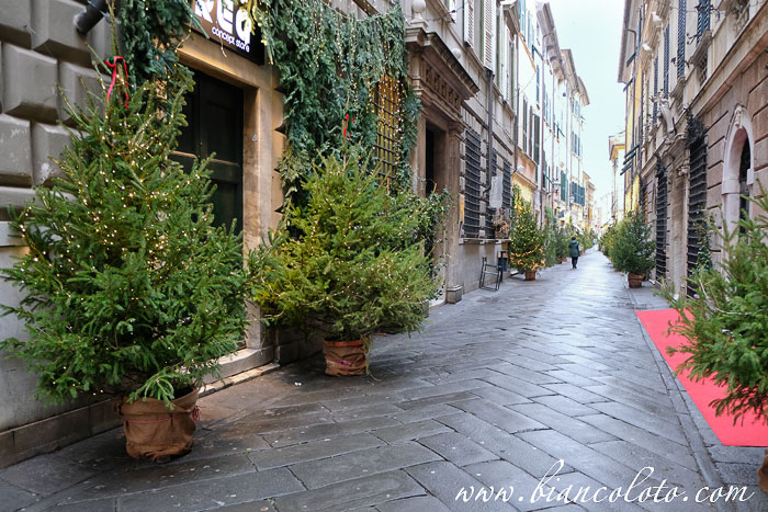 Via Mazzini. Сарцана (Sarzana)
