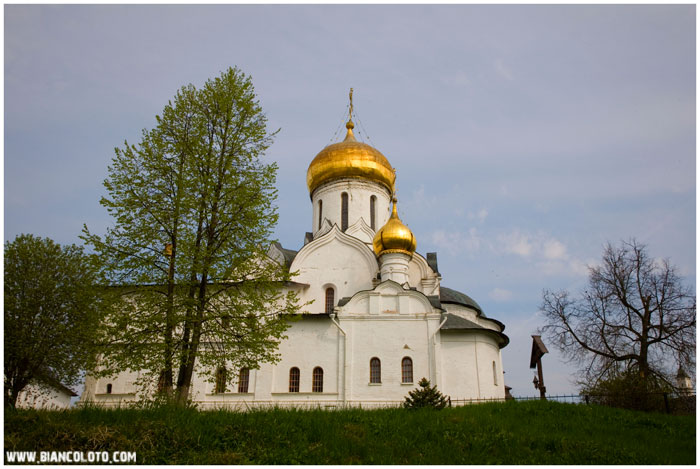 Саввино-Сторожевский монастырь, Рождественский собор