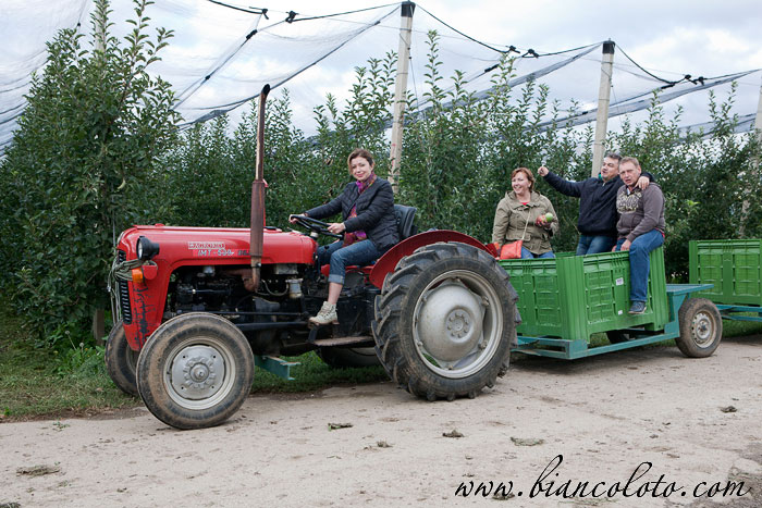 Яблочные плантации Деурич