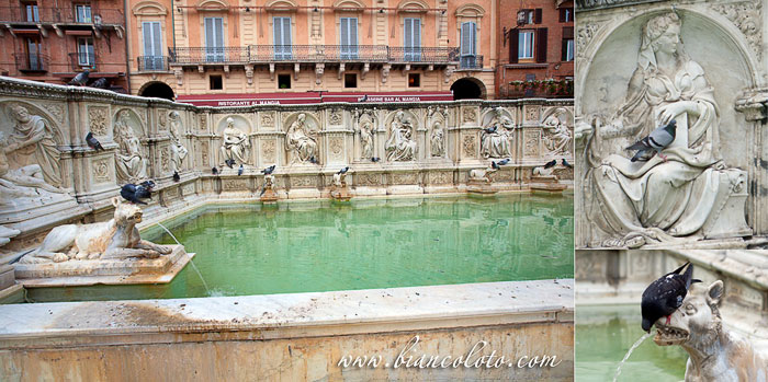 Источник Радости на пьяцца дель Кампо.